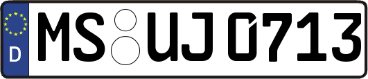 MS-UJ0713