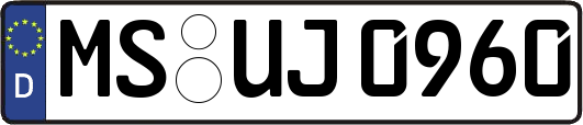MS-UJ0960