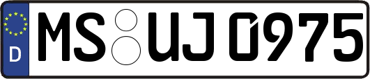 MS-UJ0975