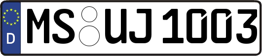 MS-UJ1003