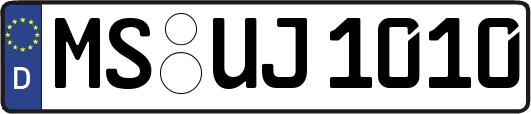 MS-UJ1010
