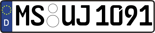 MS-UJ1091