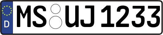 MS-UJ1233