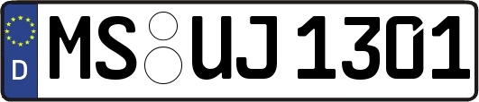 MS-UJ1301