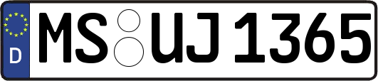 MS-UJ1365
