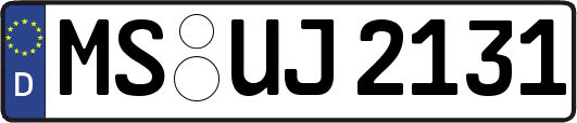 MS-UJ2131