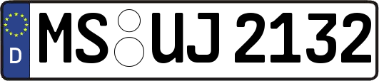 MS-UJ2132