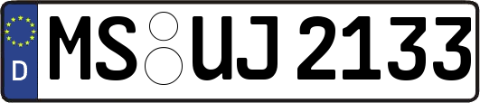 MS-UJ2133
