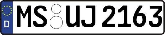 MS-UJ2163