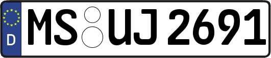 MS-UJ2691