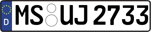 MS-UJ2733