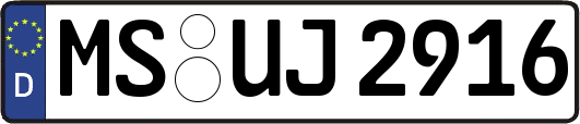 MS-UJ2916