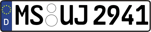 MS-UJ2941