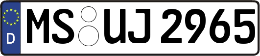 MS-UJ2965