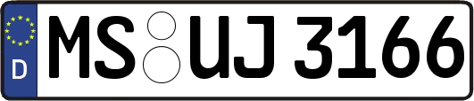 MS-UJ3166