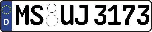 MS-UJ3173