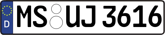 MS-UJ3616