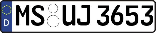 MS-UJ3653