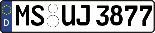 MS-UJ3877
