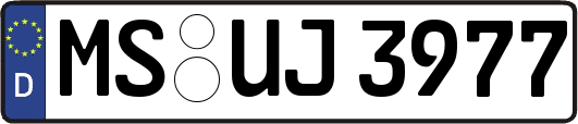 MS-UJ3977
