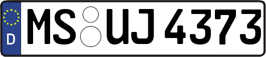 MS-UJ4373