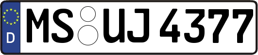 MS-UJ4377