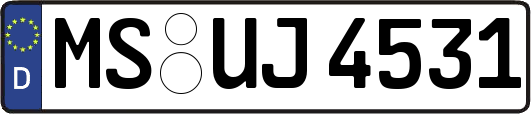 MS-UJ4531