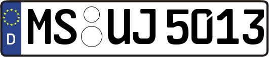 MS-UJ5013