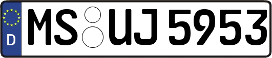 MS-UJ5953