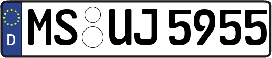 MS-UJ5955