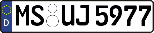 MS-UJ5977