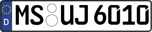 MS-UJ6010