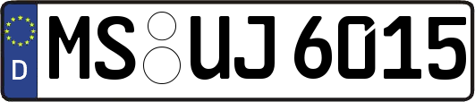 MS-UJ6015