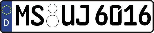 MS-UJ6016
