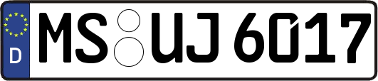 MS-UJ6017