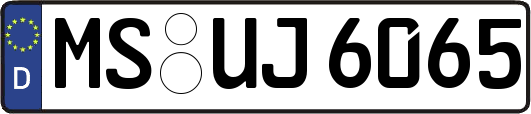 MS-UJ6065