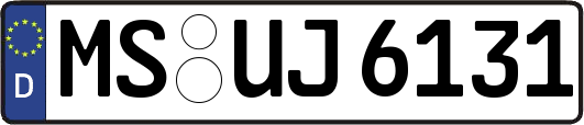 MS-UJ6131