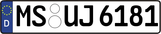 MS-UJ6181