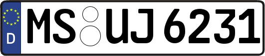 MS-UJ6231