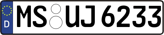 MS-UJ6233
