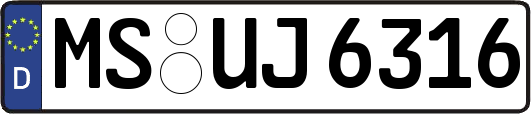 MS-UJ6316