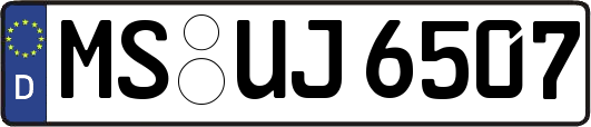 MS-UJ6507