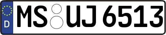 MS-UJ6513