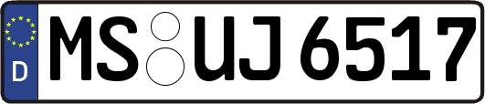 MS-UJ6517