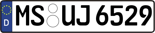 MS-UJ6529