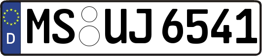 MS-UJ6541