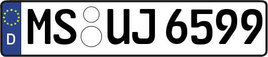 MS-UJ6599