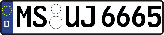 MS-UJ6665