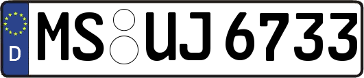 MS-UJ6733