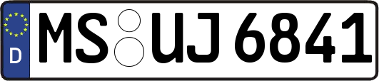 MS-UJ6841